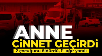 Anne cinnet geçirdi: 2 çocuğunu öldürdü, 1’i ağır yaralı