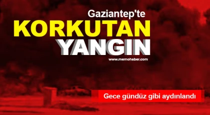 Gaziantep'te korkutan yangın 