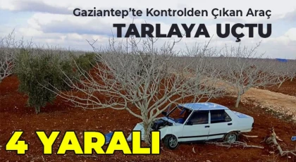 Karkamış Yolunda Kontrolden Çıkan Araç Tarlaya Uçtu: 4 Yaralı