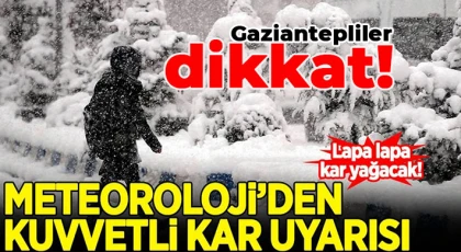 Meteoroloji açıkladı: Lapa lapa kar geliyor