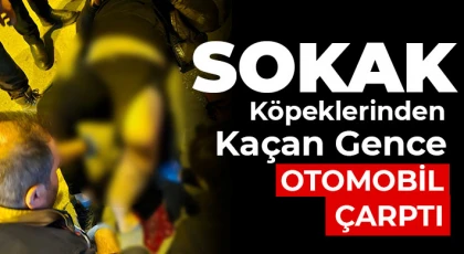 Nizip’te Sokak Köpeklerinden Kaçan Gence Otomobil Çarptı