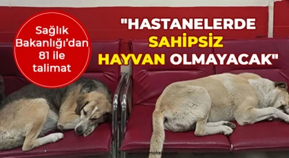 Sağlık Bakanlığı’dan 81 ile talimat: Hastanelerde sahipsiz hayvan olmayacak