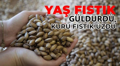  Yaş fıstık güldürdü, kuru fıstık üzdü