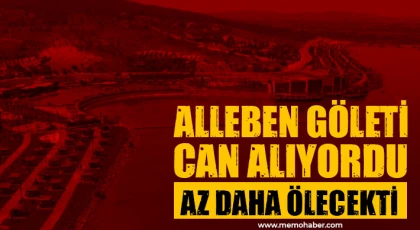 Alleben göleti can alıyordu!