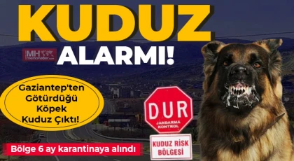 Sahipli köpek kuduz çıktı! Bölge 6 ay karantinaya alındı