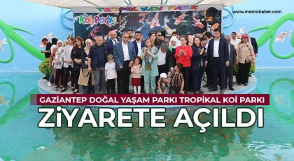 27 Bin KOİ Balığı Biberonla Besleniyor