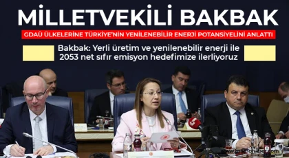 Bakbak, GDAÜ Ülkelerine Türkiye’nin Yenilenebilir Enerji Potansiyelini Anlattı