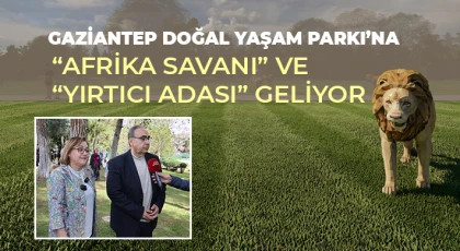 Gaziantep Doğal Yaşam Parkı’na “Afrika Savanı” ve “Yırtıcı Adası” Geliyor
