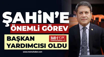 Ali Şahin’e önemli görev