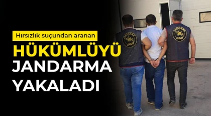 Hırsızlık suçundan aranan hükümlüyü jandarma yakaladı