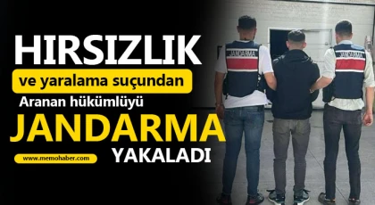  Hırsızlık ve yaralama suçundan aranan hükümlüyü jandarma yakaladı