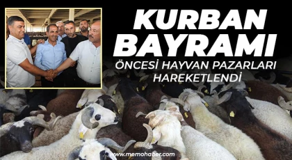 Kurban Bayramı öncesi hayvan pazarları hareketlendi