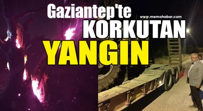 Nizip Keklik Mahallesi'nde Çıkan Yangın Kontrol Altına Alındı
