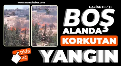Nizip Menderes Mahallesindeki Boş Alanda Yangın Korkuttu