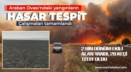 Araban Ovası'ndaki yangınların hasar tespit çalışmaları tamamlandı