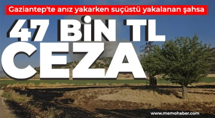 Gaziantep'te anız yakarken suçüstü yakalanan şahsa 47 bin TL ceza