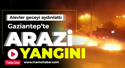 Gaziantep'te arazi yangını!
