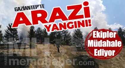 Gaziantep'te Arazi Yangını!