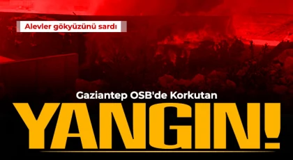 Gaziantep'te geri dönüşüm fabrikasında korkutan yangın