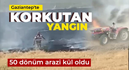 Gaziantep'te korkutan yangın: 50 dönüm arazi kül oldu