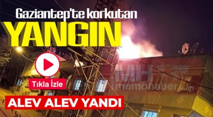 Gaziantep'te korkutan yangın! Alev alev yandı 