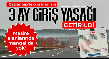 Gaziantep'te ormanlara giriş yasaklandı
