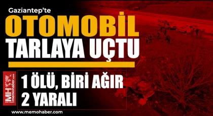 Gaziantep'te otomobil tarlaya uçtu! Ölü ve yaralılar var