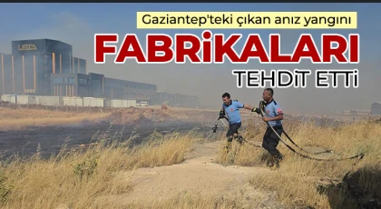 Gaziantep'teki çıkan anız yangını fabrikaları tehdit etti