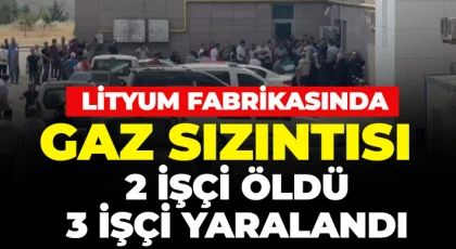 Lityum fabrikasında gaz sızıntısı: 2 işçi öldü, 3 işçi yaralandı