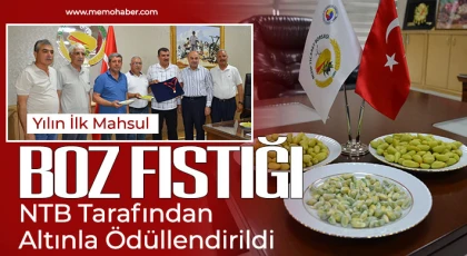 Yılın İlk Mahsul Boz Fıstığı NTB Tarafından Altınla Ödüllendirildi
