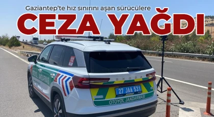 44 araç plakasına 607 bin TL ceza