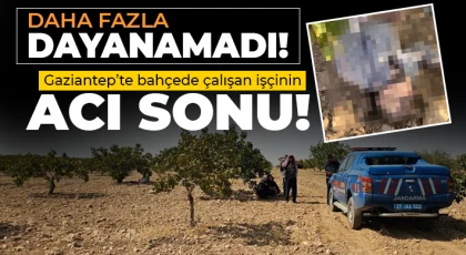 Antep fıstığı hasadı yaparken fenalaşan işçi hayatını kaybetti