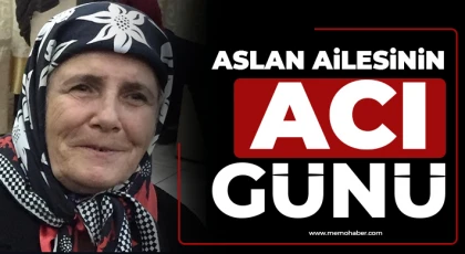 Aslan ailesinin acı günü 