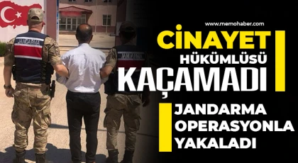 Cinayet hükümlüsü kaçamadı