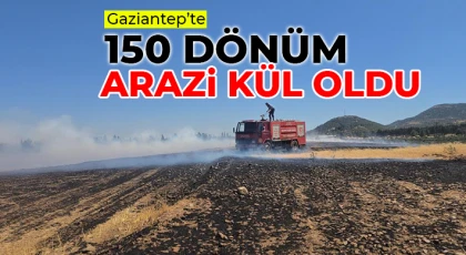 Gaziantep'te 150 dönüm arazi kül oldu