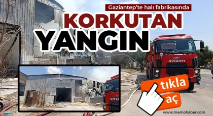 Gaziantep'te halı fabrikasında yangın 