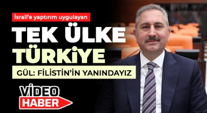 Gül: Filistin’in yanındayız 