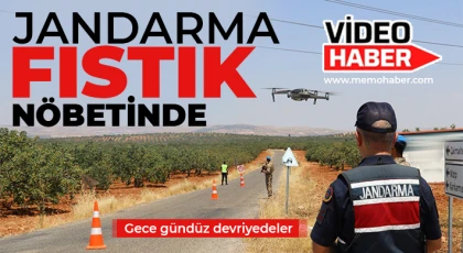 Jandarma fıstık nöbetinde 