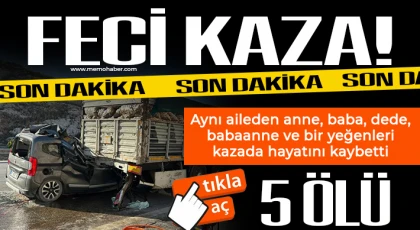 Katliam gibi kaza: 5 ölü, 1 ağır yaralı