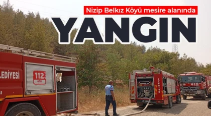 Nizip Belkız Köyü mesire alanında yangın