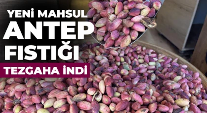 Antep fıstığında fiyatlar yüzde 100 arttı
