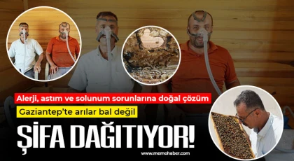 Arıların şifalı havası Gaziantep’te hayat kurtarıyor