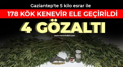 Gaziantep'te 5 kilo esrar ile 178 kök kenevir ele geçirildi: 4 gözaltı