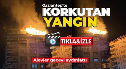 Gaziantep'te korkutan yangın!