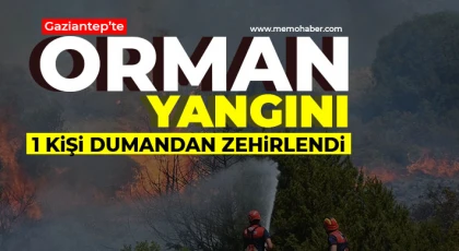 Gaziantep’te orman yangını! 1 kişi zehirlendi