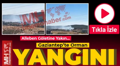 Gaziantep’te orman yangını!..