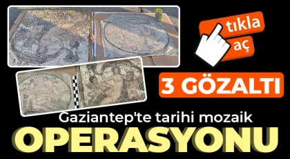 Gaziantep'te tarihi mozaik operasyonu: 3 gözaltı