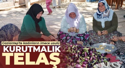 Her gün başka evde kışlık kurutmalık yapıyorlar