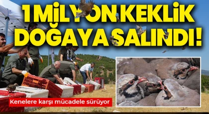 Kenelere karşı mücadele sürüyor: 1 milyona yakın keklik doğaya salındı