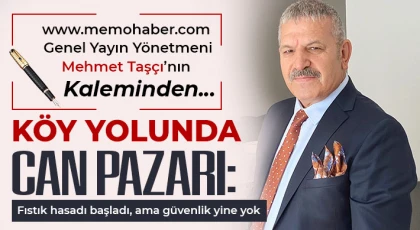 Köy yolunda can pazarı: Fıstık hasadı başladı, ama güvenlik yine yok